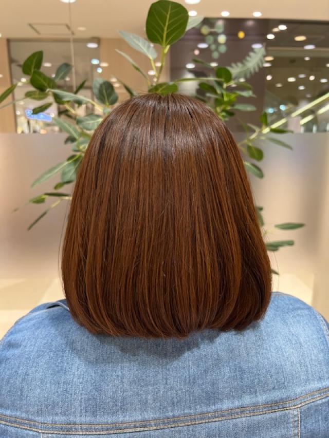 艶々ストレート