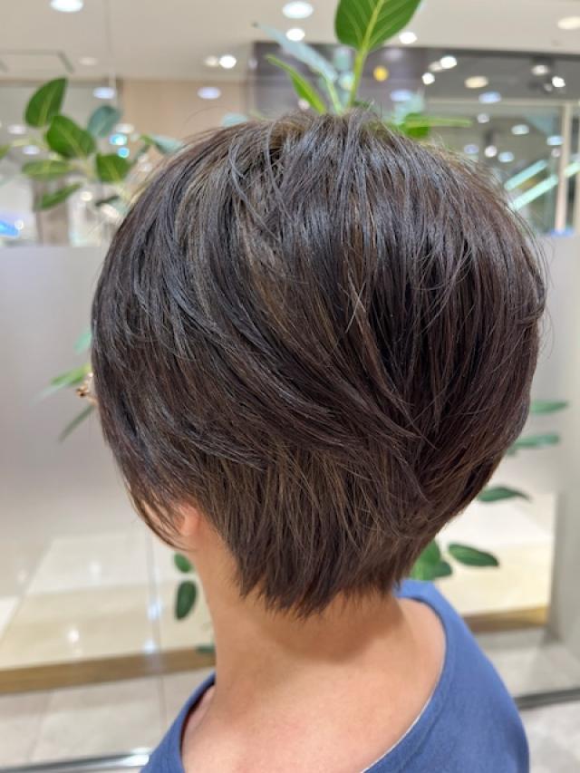 ショートレイヤー