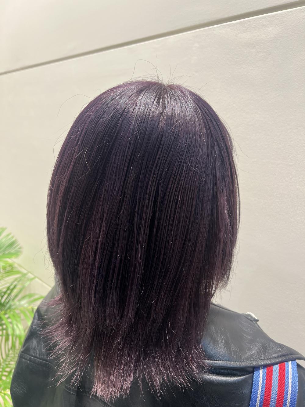 ラベンダーパープルカラー