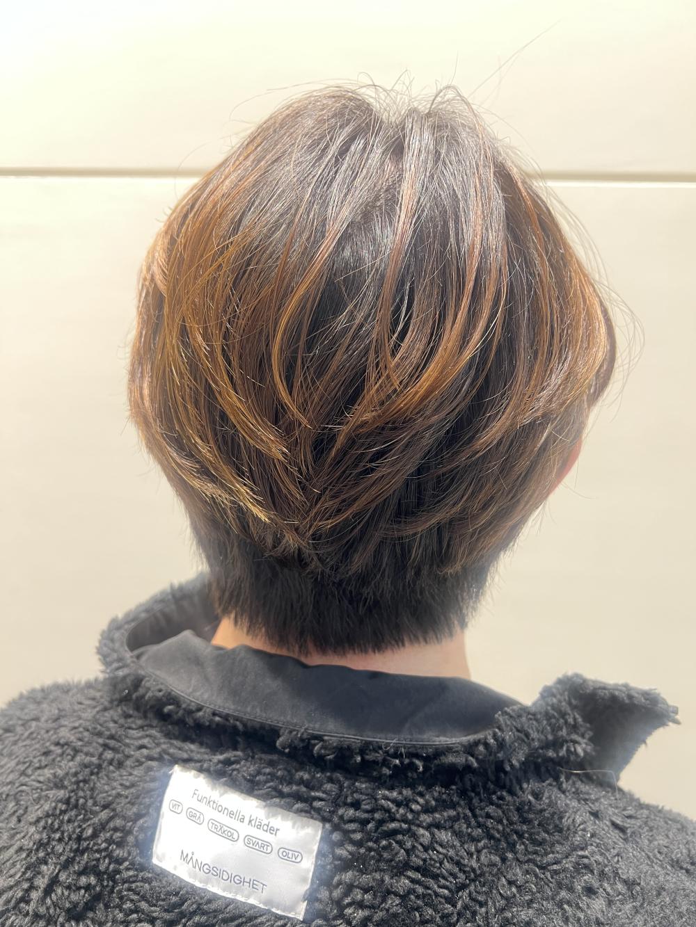 ハイライトショート