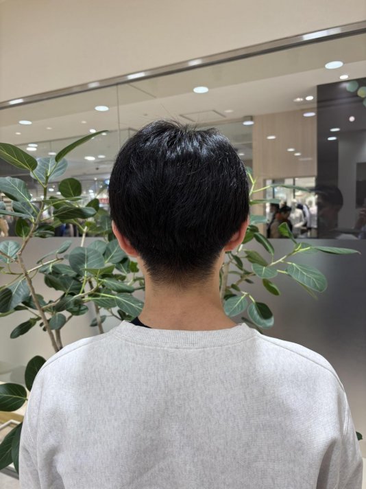 メンズ耳だしショート