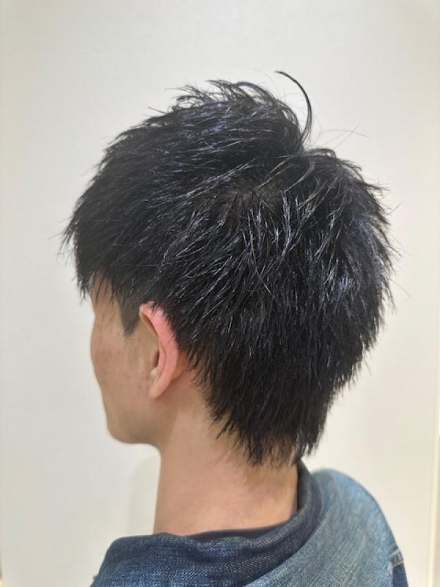 メンズ耳だしショート