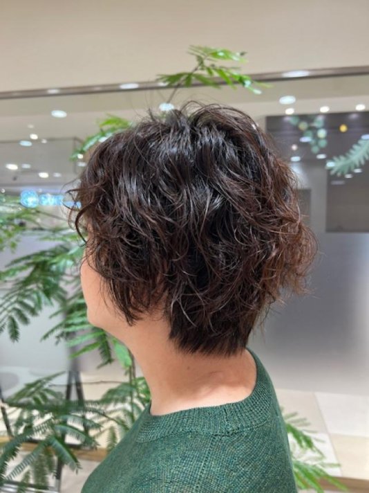 ﾚｲﾔｰｼｮｰﾄｽﾀｲﾙ