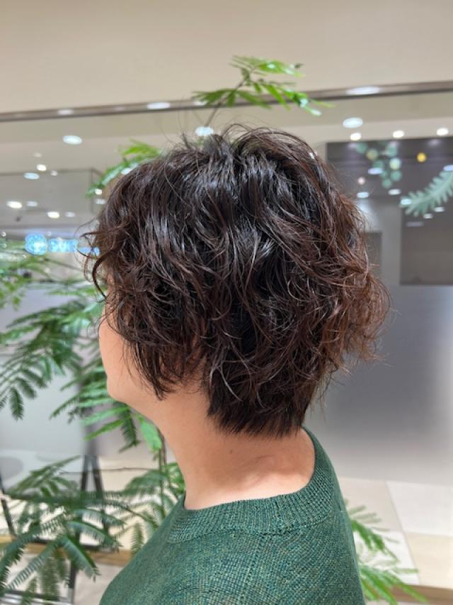 ﾚｲﾔｰｼｮｰﾄｽﾀｲﾙ