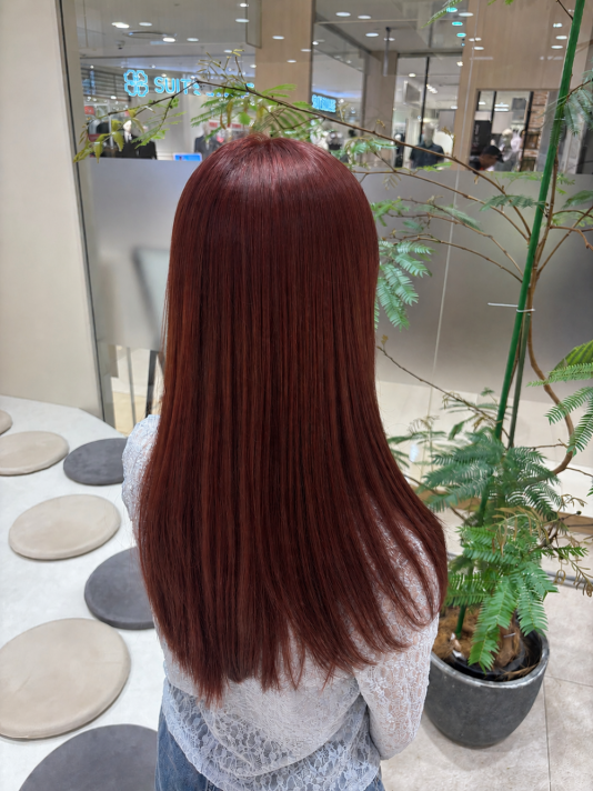 レッド系カラー