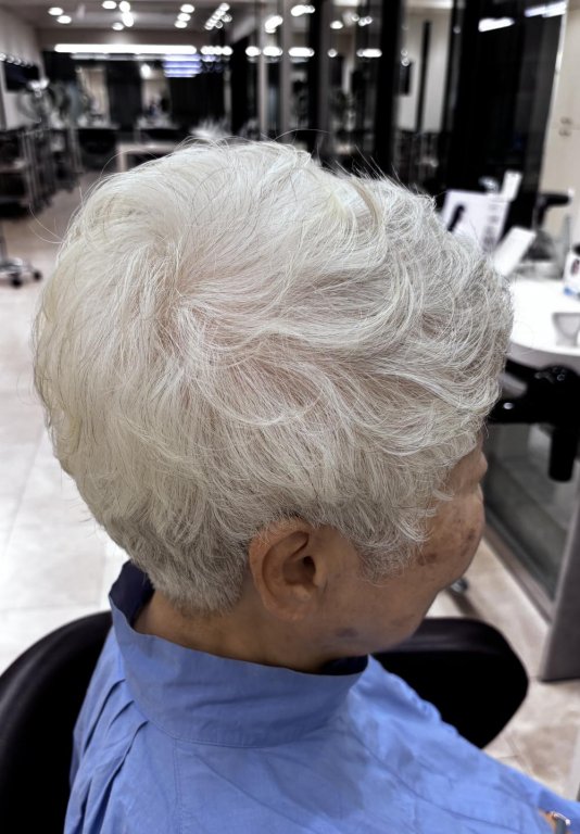 シニアスタイル