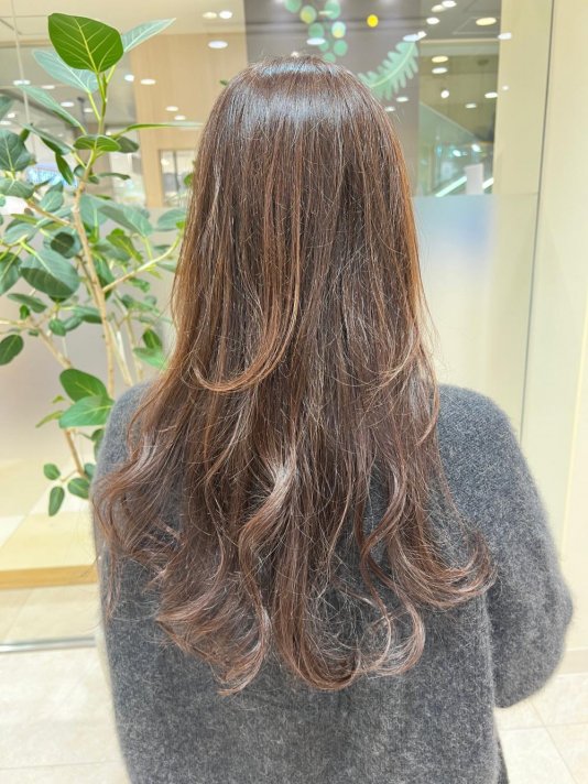 ロングレイヤー