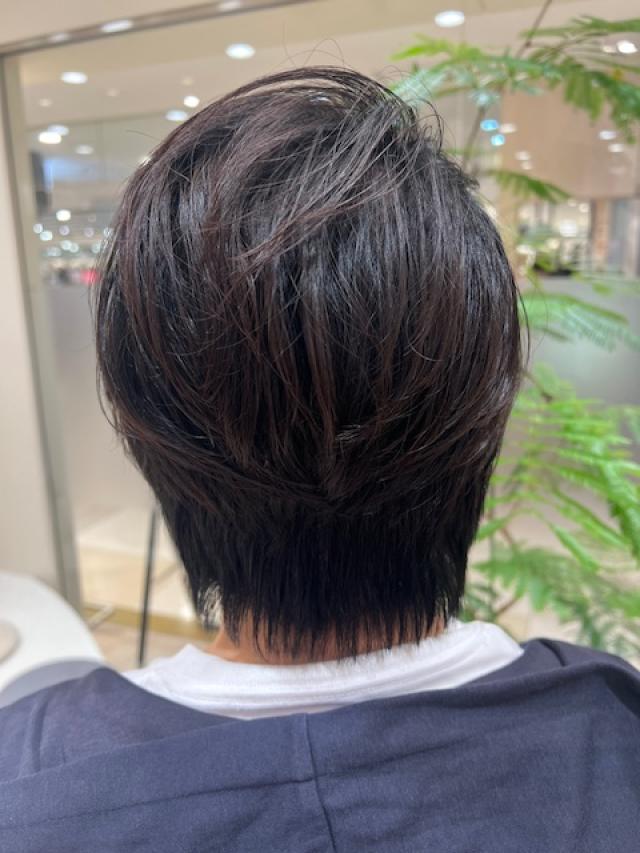 ショートレイヤー