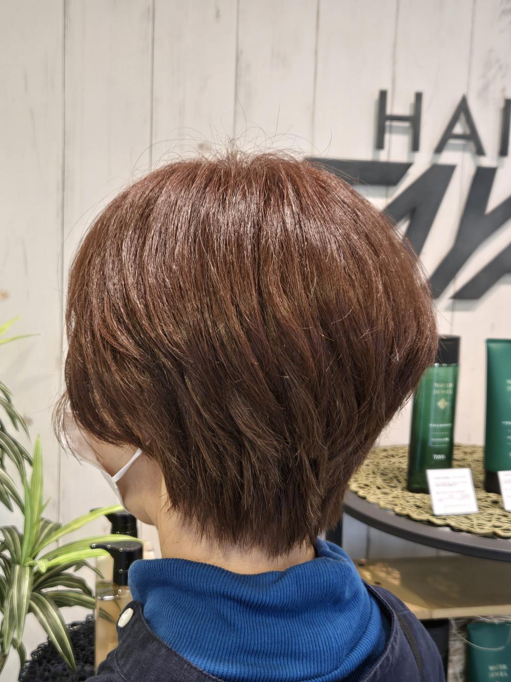 春ショート