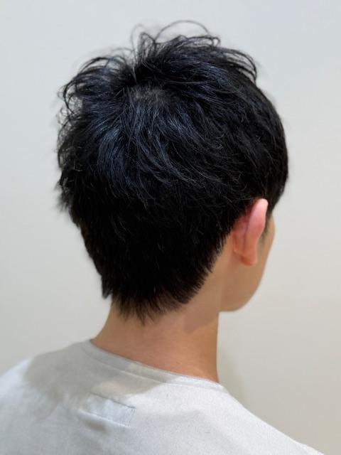 メンズ耳だしショート
