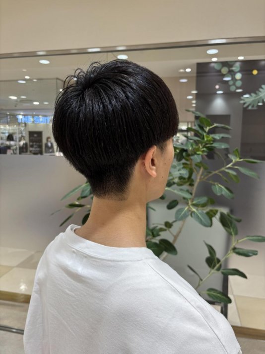 王道マッシュ
