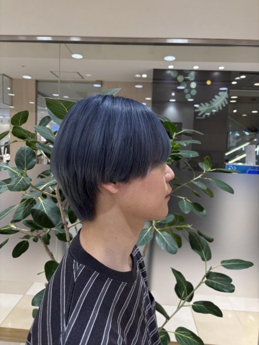 ハイトーンシースルーマッシュ