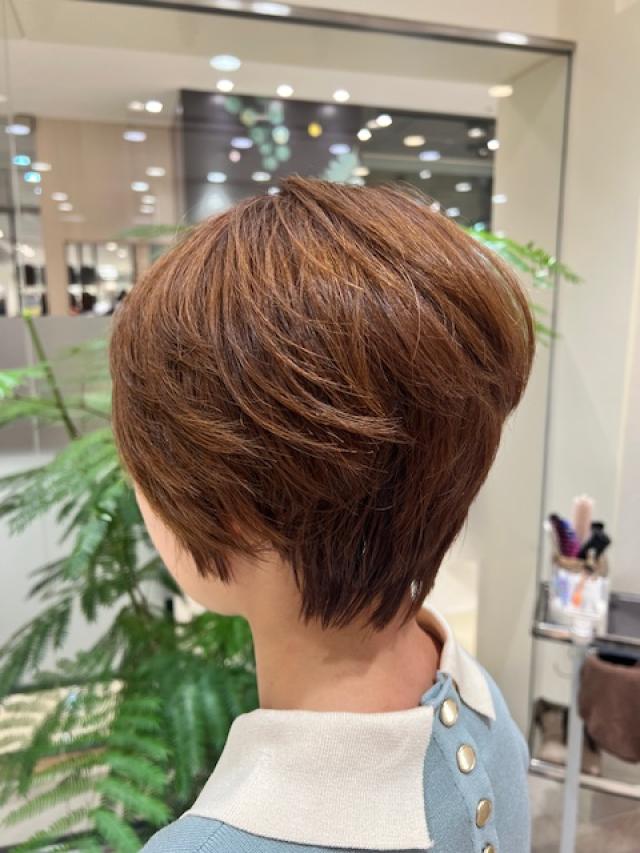 ショートレイヤー