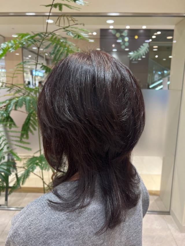ウルフレイヤースタイル