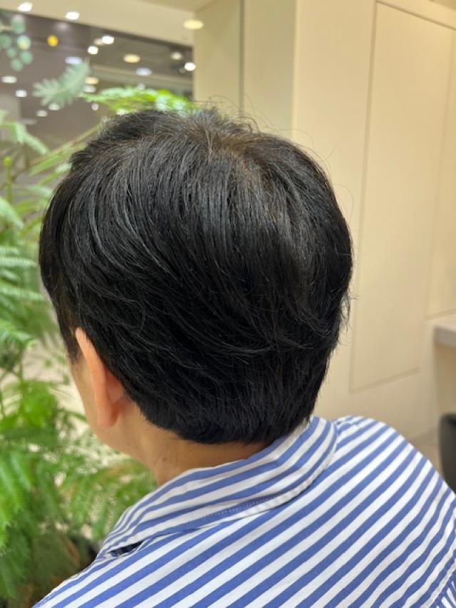 ショートレイヤー