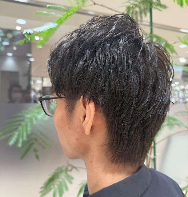 ショートレイヤー