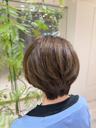 ショートレイヤー