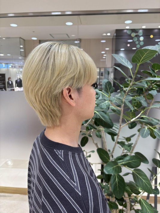 ハイトーンシースルーマッシュ