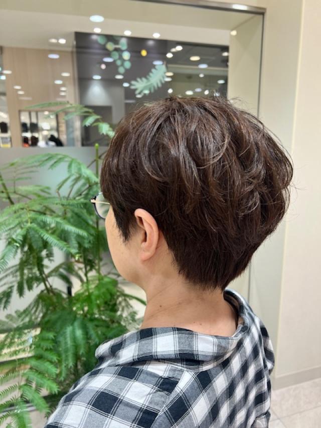 ショーレイヤー