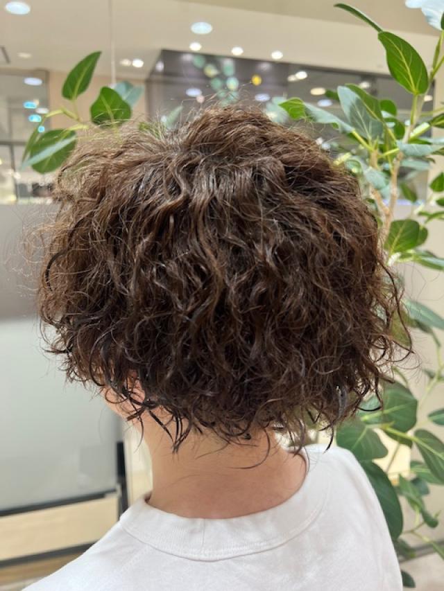 カールヘア　ショート